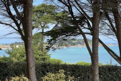 IMG_0886